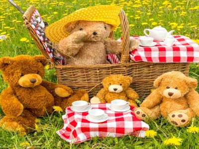 P1 - Teddy Bears Picnic